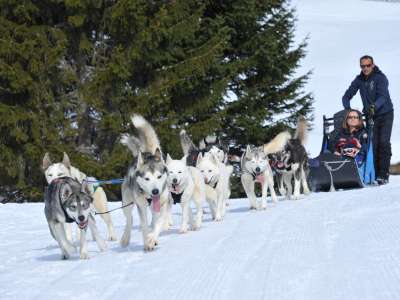 Free Sled - Traîneaux Kids