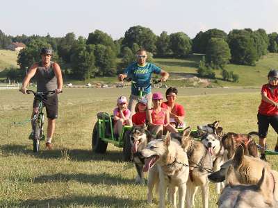 Free sled - Chiens de traîneaux / cani-rando et cani-trotinette